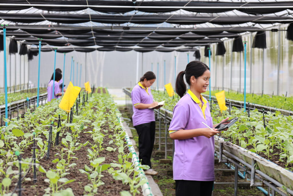 ประวัติสถาบัน &mdash; 17 กรกฎาคม 2026 &mdash; สถาบันเทคโนโลยีจิตรลดา CDTI